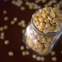 MASOOR DAL