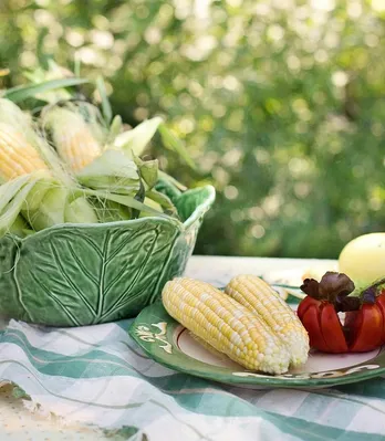 CORN GRITS