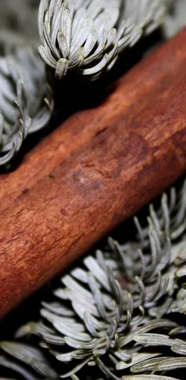 CINAMON WHOLE  STICK