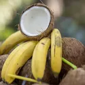 COCONUT MILK POWDER MAGGIU
