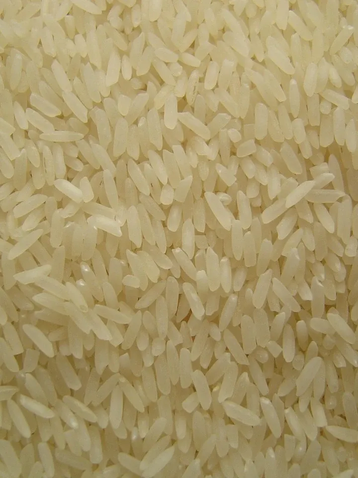 AMERICAN RICE 10 KG