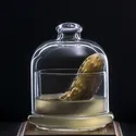 MIX PICKLE