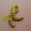 TAMARIND