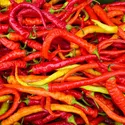 ROUND CHILI PICKLE